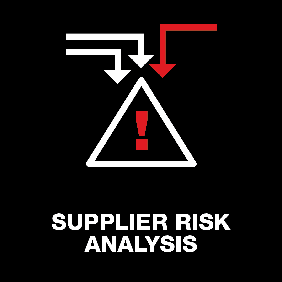 Supplier Risk